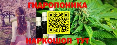 гашик Мариинск