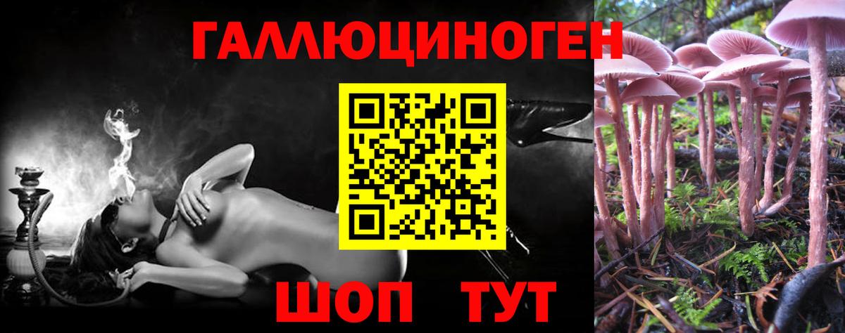 Зерноград  Галлюциногенные грибы Psilocybine cubensis  Галлюциногенные грибы Cubensis  Вход с VPN 