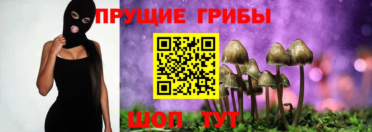 Псилоцибиновые грибы мицелий Зерноград